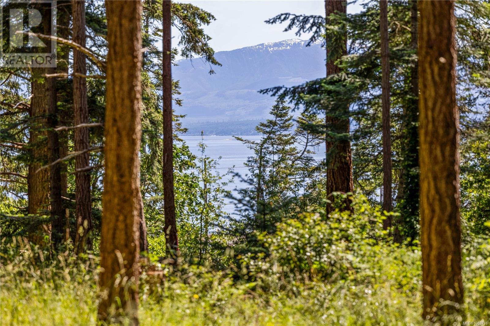 348 Lazo Rd, Comox, British Columbia