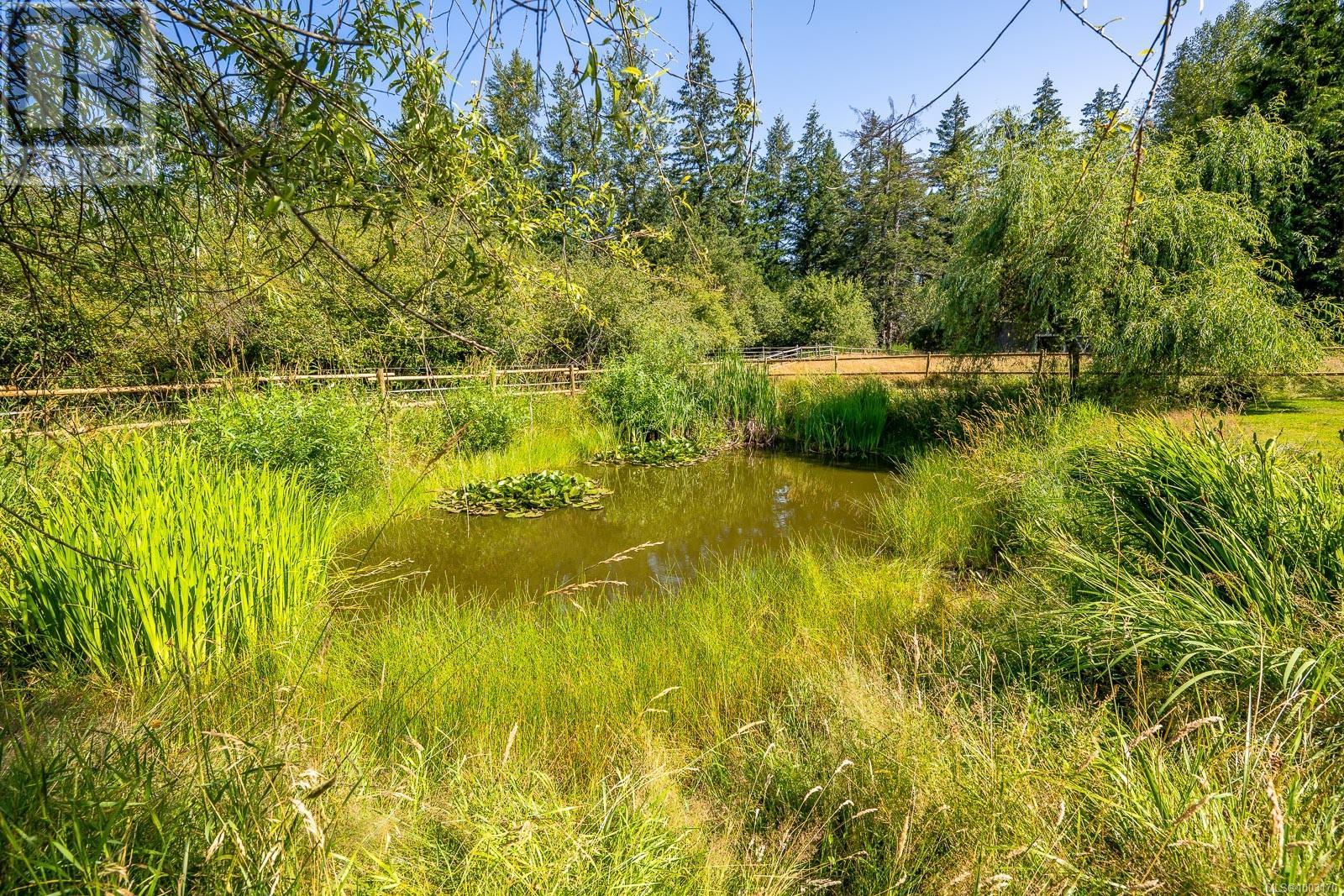 6392 Island Hwy N, Courtenay, British Columbia  V9J 1T7 - Photo 32 - 1003170