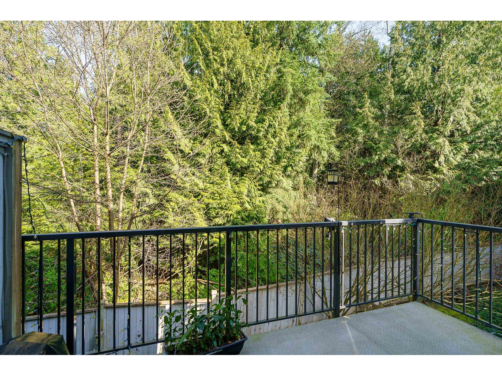 62 5858 142 Street, Surrey, British Columbia  V3X 0H2 - Photo 6 - R3014961