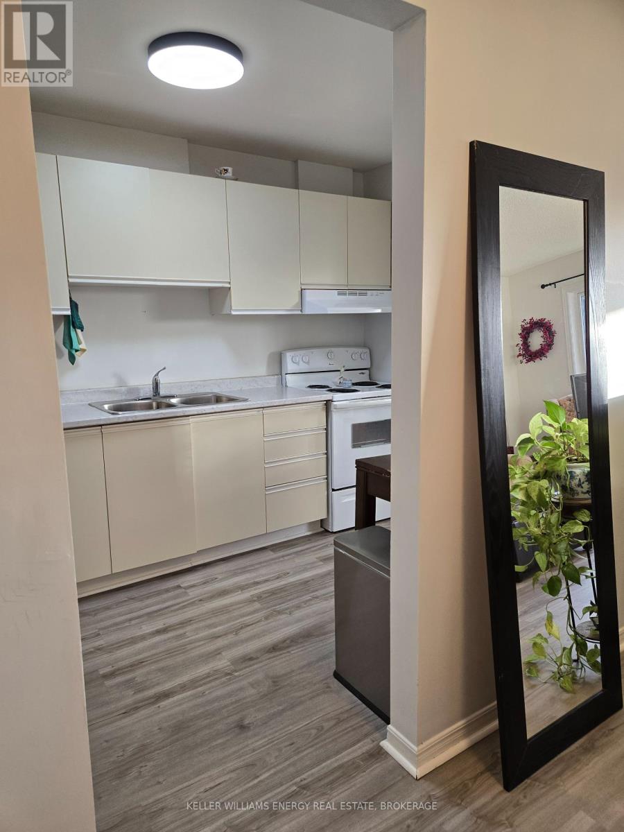 305 - 576 Mary Street E, Whitby, Ontario  L1N 2R3 - Photo 6 - E12217007