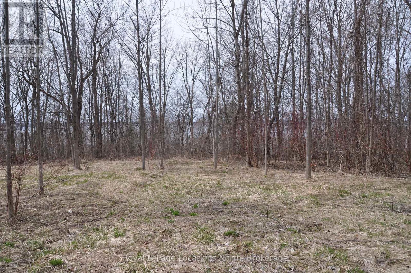 Ptlt 19 Con Broken Front Bayshore Road, Meaford, Ontario  N0H 1V0 - Photo 16 - X12105220