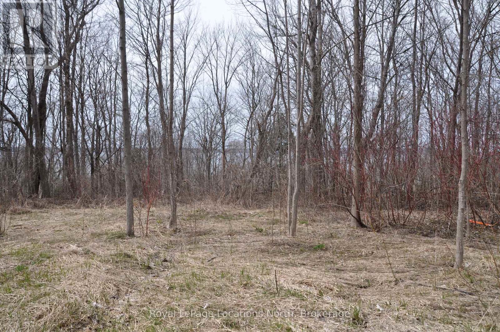Ptlt 19 Con Broken Front Bayshore Road, Meaford, Ontario  N0H 1V0 - Photo 33 - X12105220