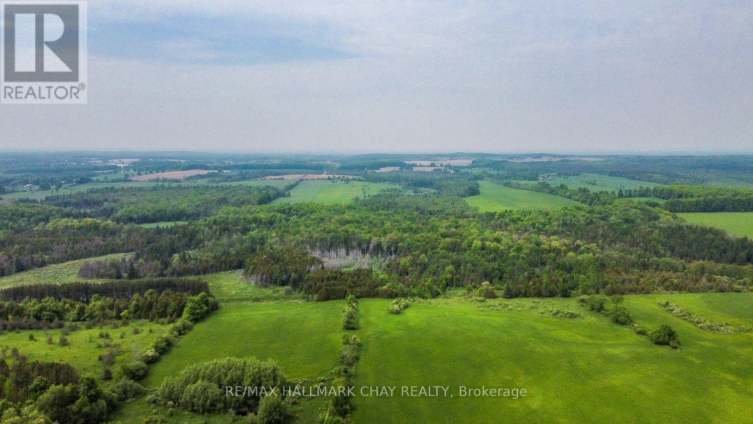 405191 Grey County Road 4 Road, Grey Highlands, Ontario  N0C 1K0 - Photo 49 - X12216810