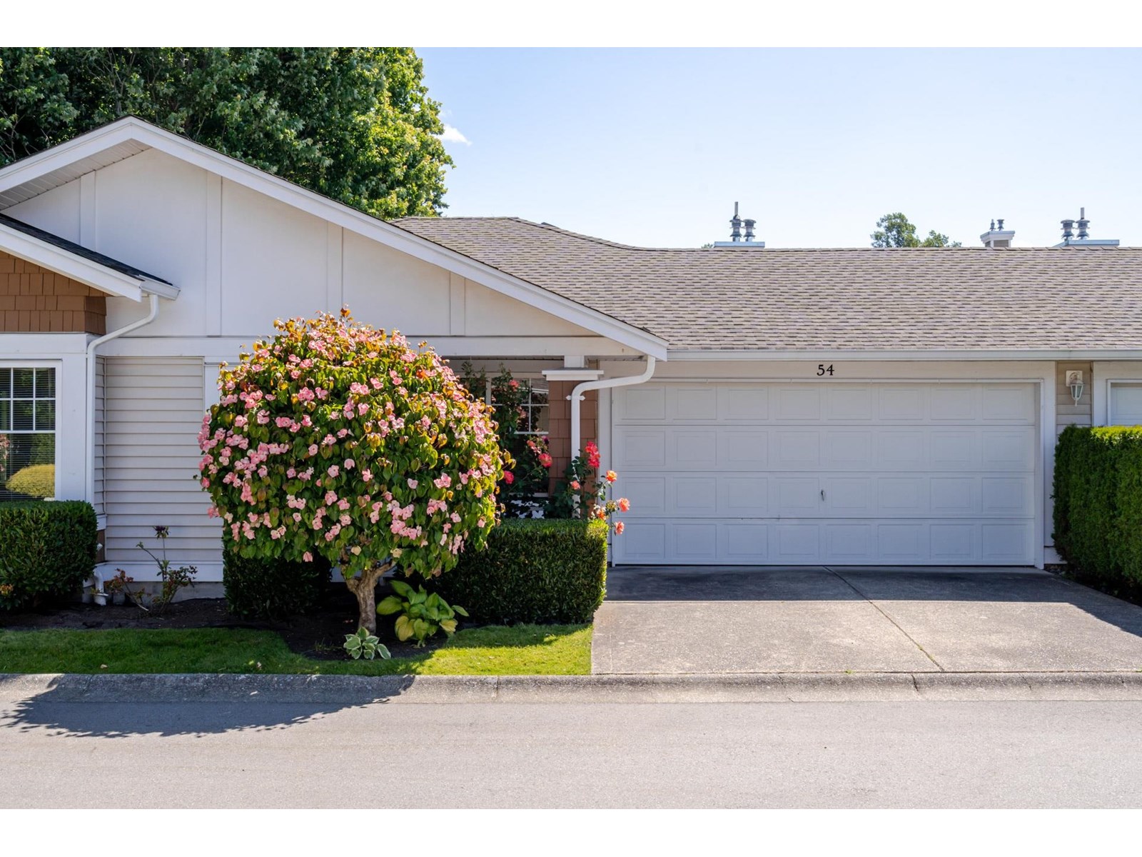 54 6885 184 Street, Surrey, British Columbia  V3S 9G1 - Photo 2 - R3012505