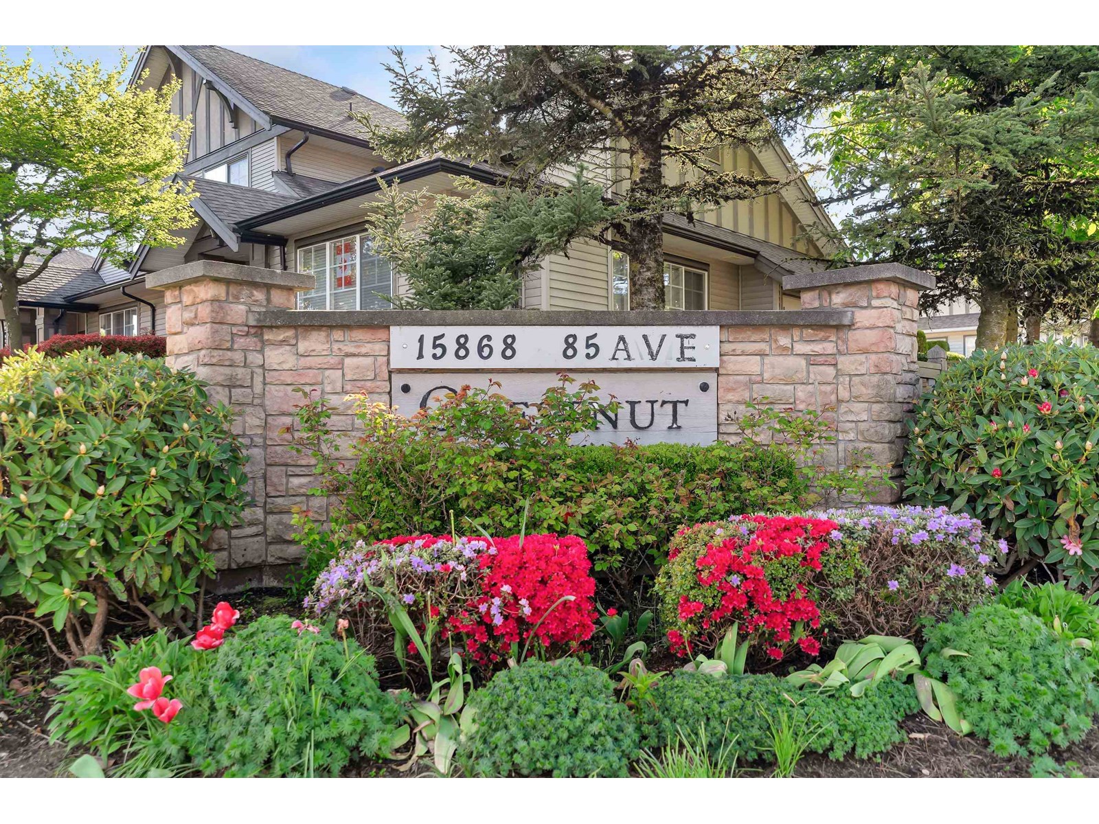 19 15868 85 Avenue, Surrey, British Columbia  V4N 0Y9 - Photo 2 - R3014851
