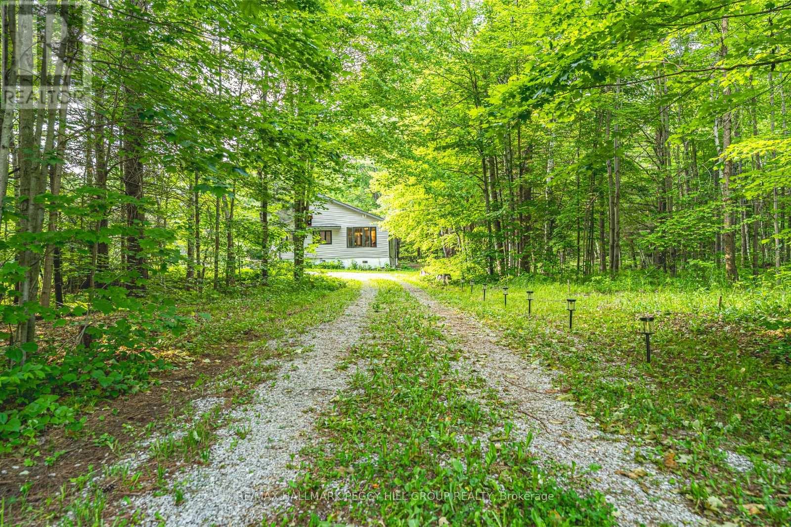 7390 Sadowa Road, Kawartha Lakes, Ontario  L0K 1W0 - Photo 22 - X12216910