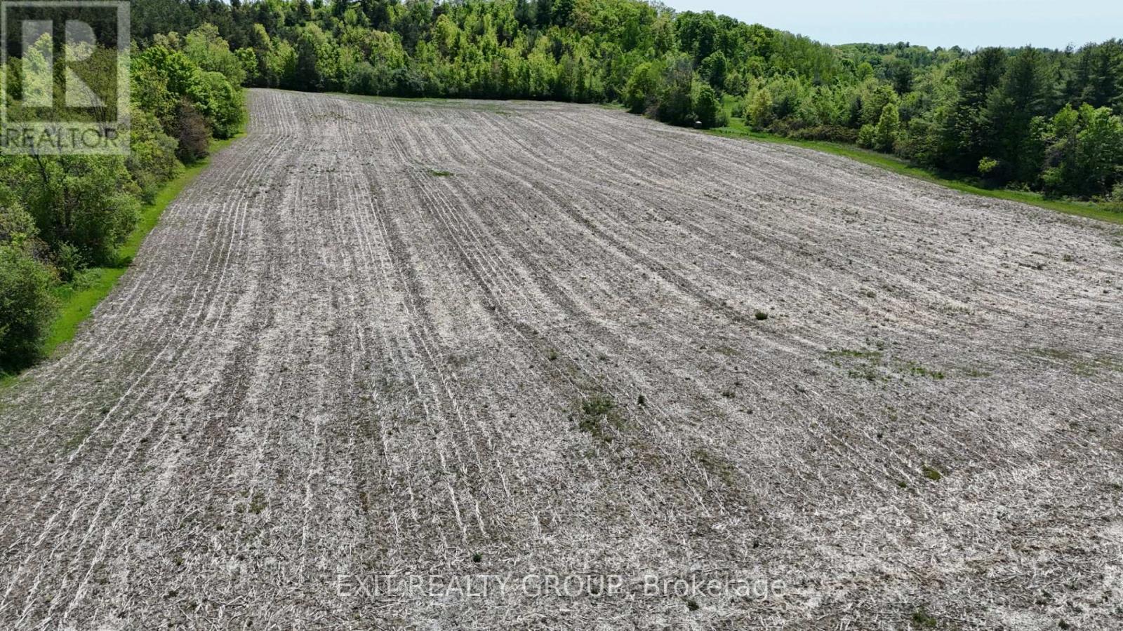 225 Jones Road, Cramahe, Ontario  K0K 1M0 - Photo 19 - X12023680
