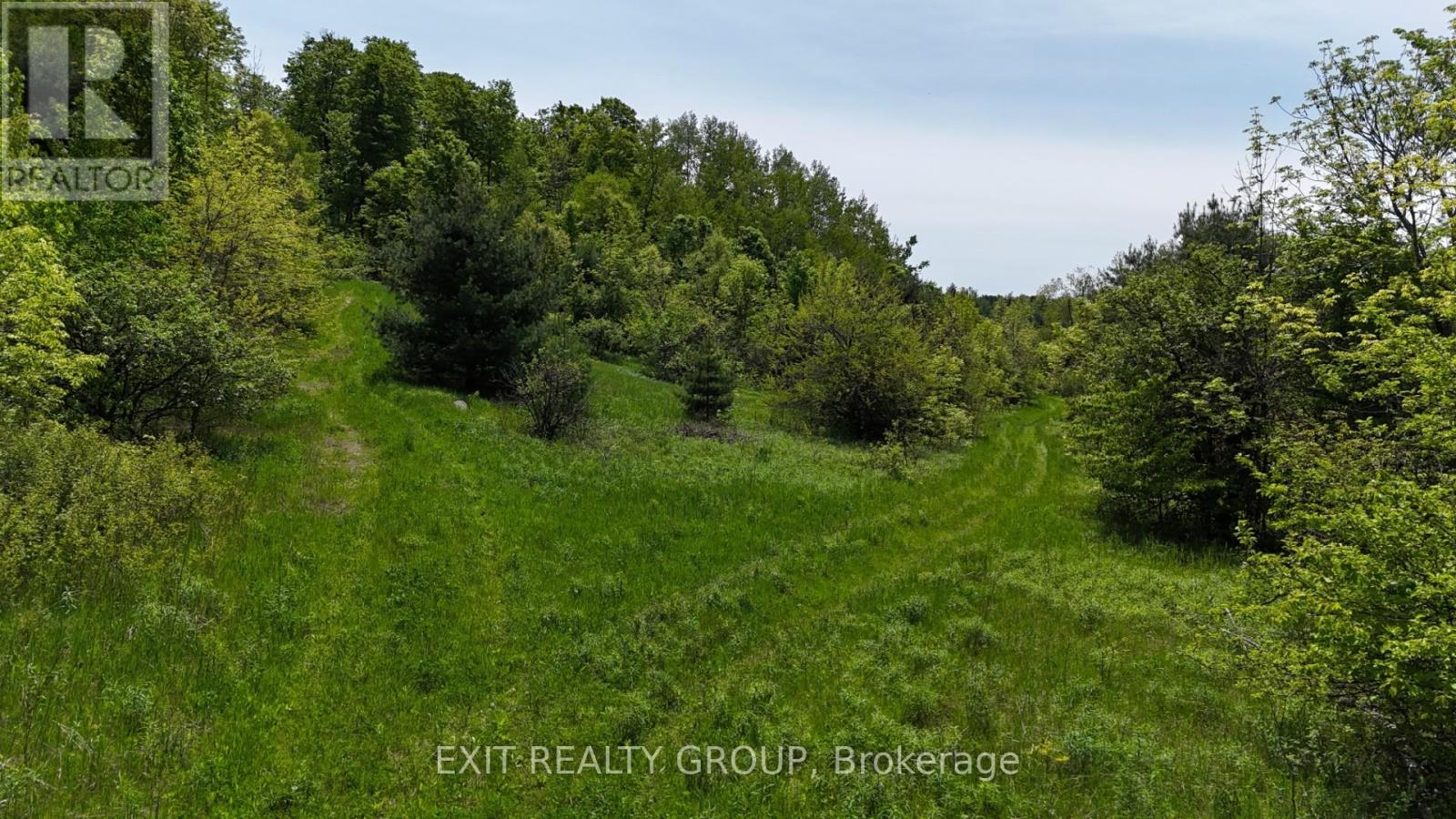 225 Jones Road, Cramahe, Ontario  K0K 1M0 - Photo 20 - X12023680