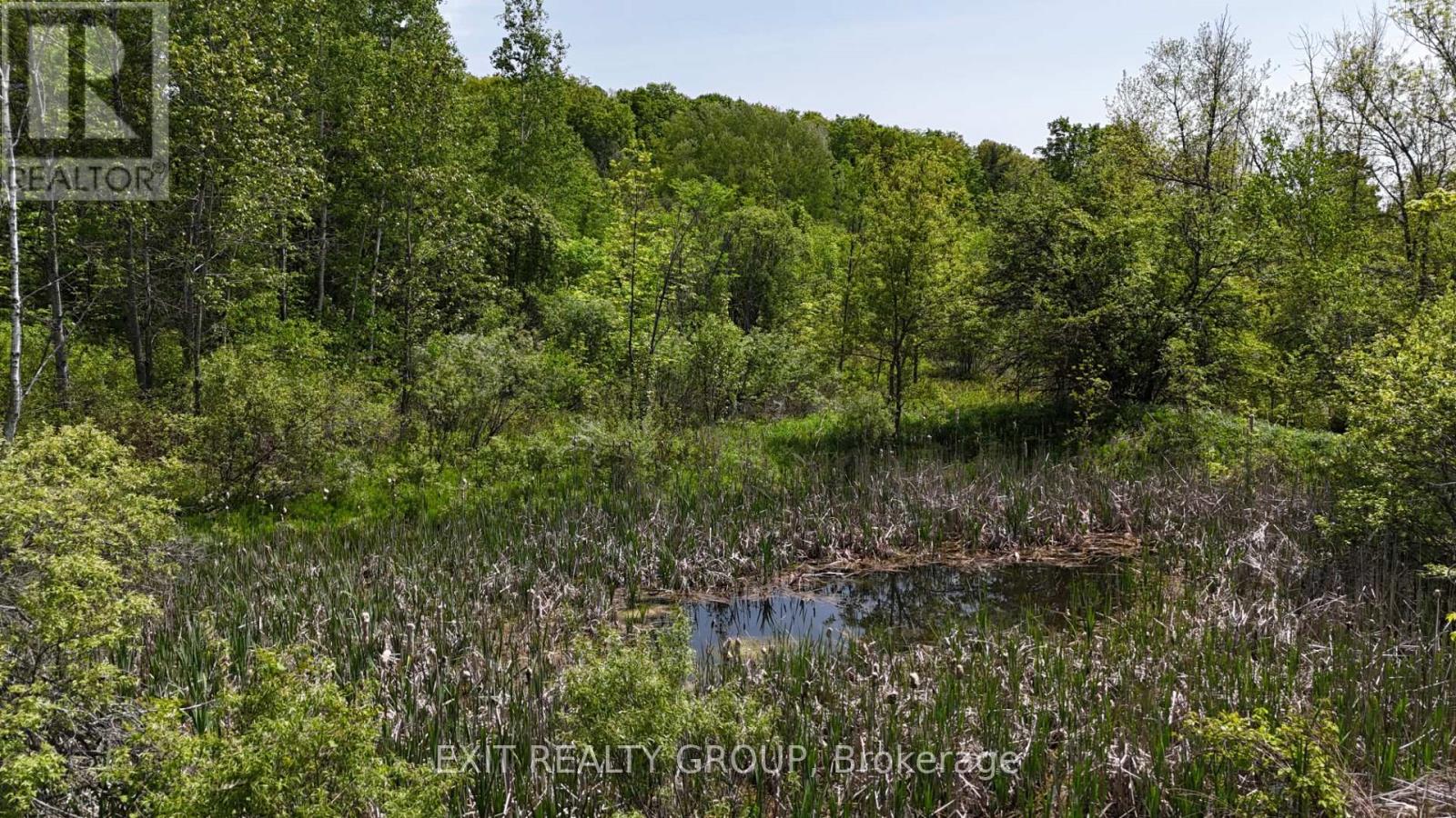 225 Jones Road, Cramahe, Ontario  K0K 1M0 - Photo 21 - X12023680