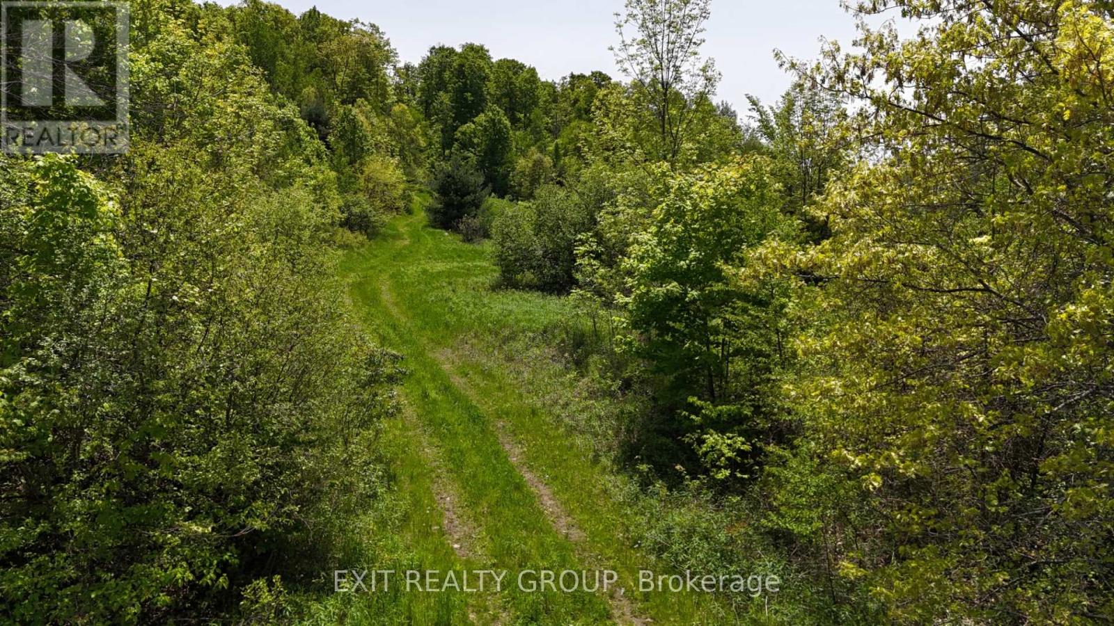 225 Jones Road, Cramahe, Ontario  K0K 1M0 - Photo 25 - X12023680