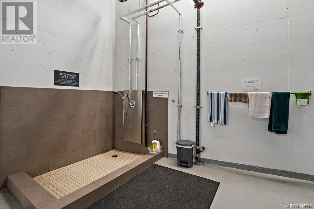 602 646 Michigan St, Victoria, British Columbia  V8V 0B7 - Photo 18 - 1002955