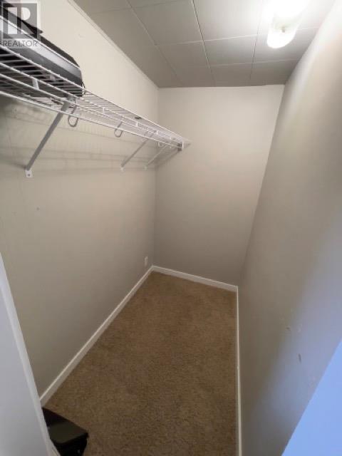 293 Walnut Avenue, Kamloops, British Columbia  V2B 1C7 - Photo 19 - 10351817