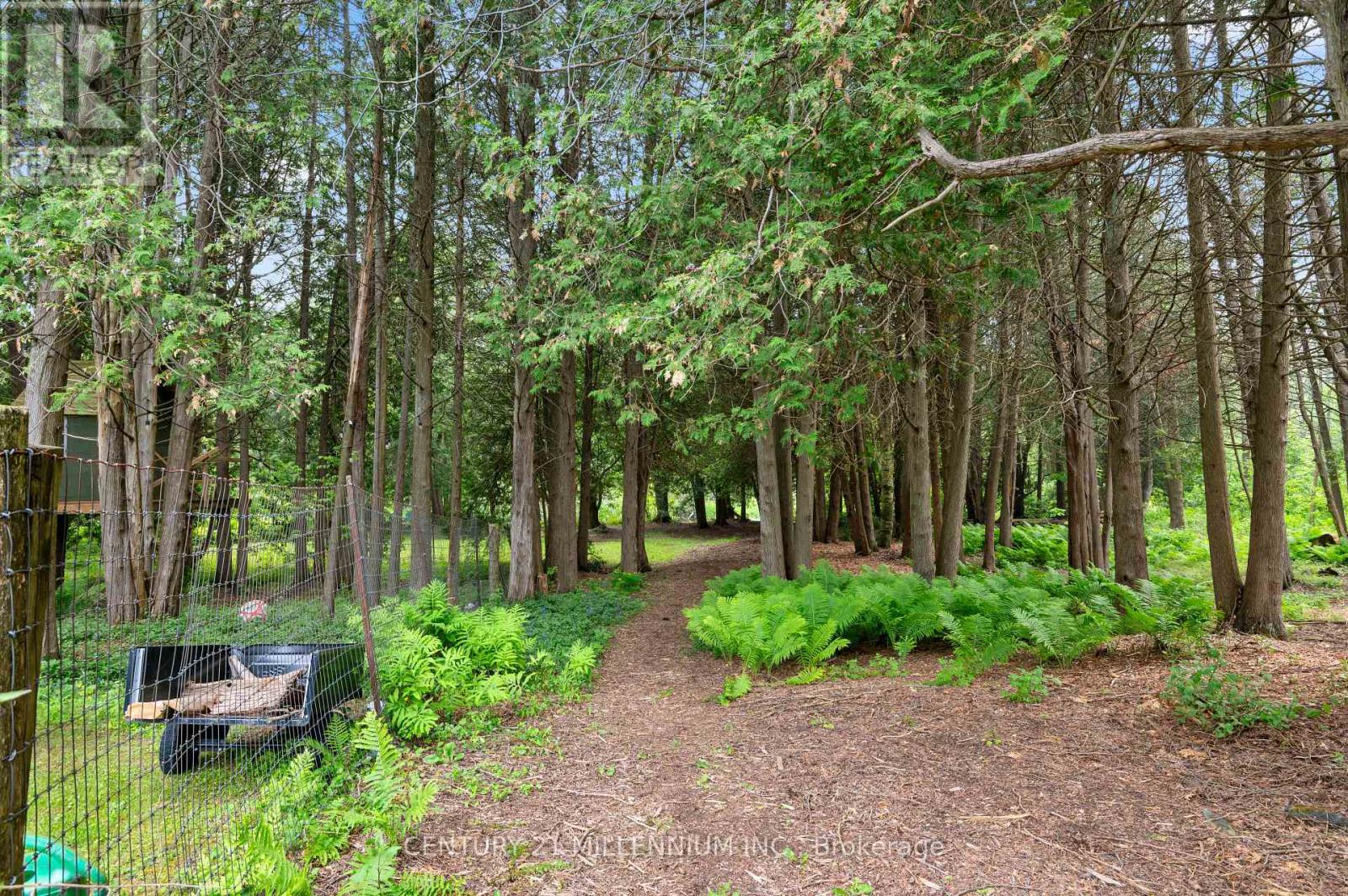 36 Ash Street, Guelph/eramosa, Ontario  N0B 1P0 - Photo 37 - X12217137