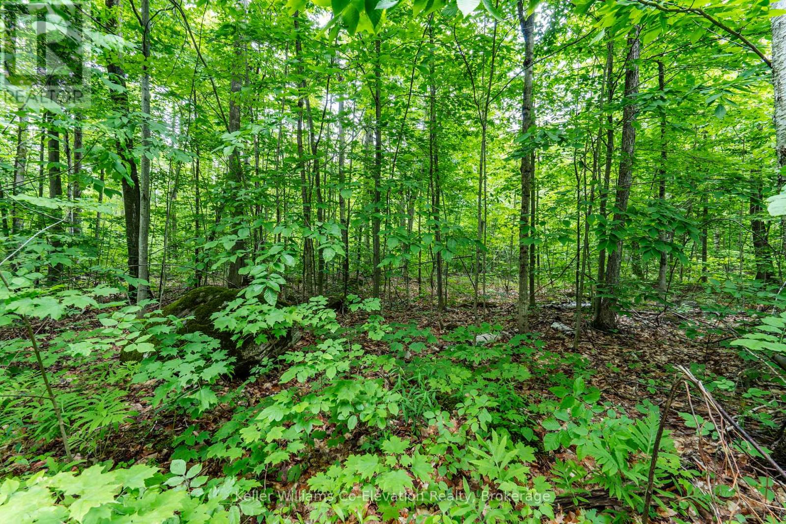 Pt Lt 7 Concession 14 Road, Tiny, Ontario  L9M 0B1 - Photo 8 - S12217348