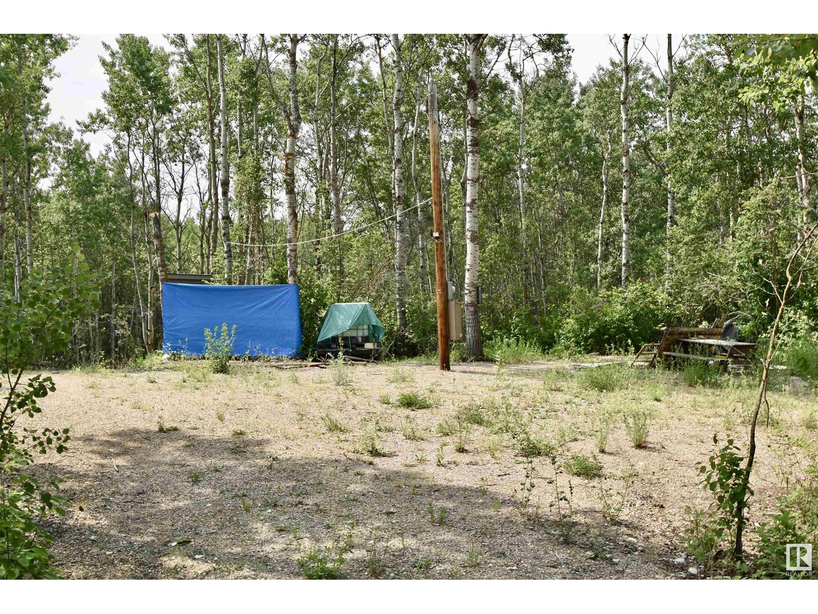 #617 59201 Rng Rd 95, Rural St. Paul County, Alberta  T0A 3A0 - Photo 9 - E4442067