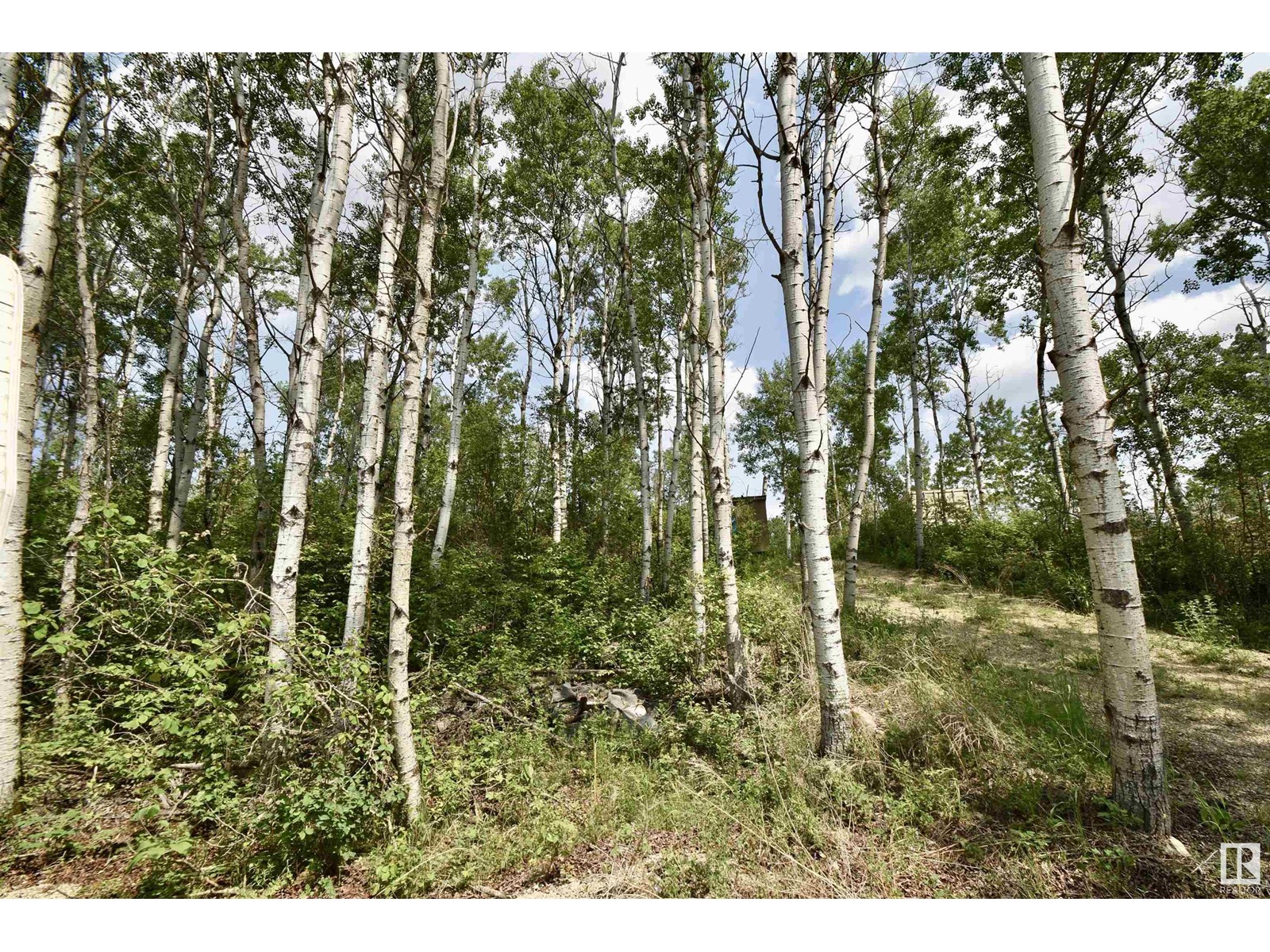 #617 59201 Rng Rd 95, Rural St. Paul County, Alberta  T0A 3A0 - Photo 6 - E4442067