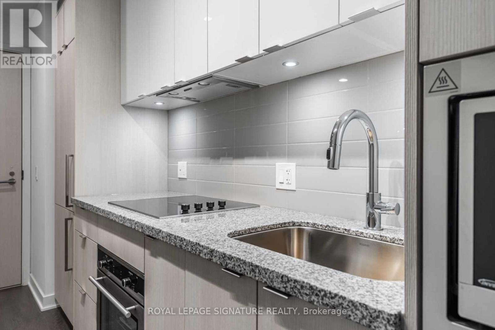 602 - 115 Blue Jays Way, Toronto, Ontario  M5V 3T3 - Photo 4 - C12217183