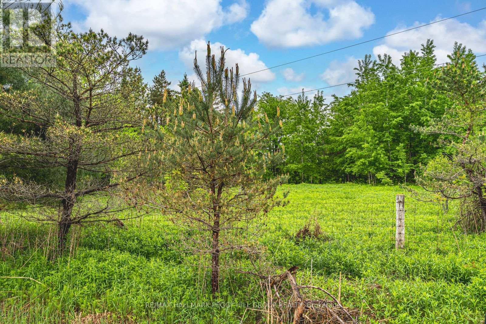 699 Moonstone Road E, Oro-Medonte, Ontario  L0K 1N0 - Photo 4 - S12217196