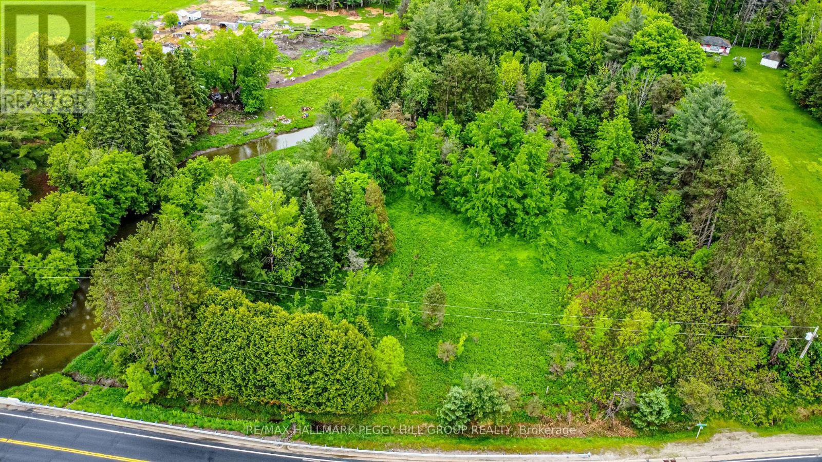 699 Moonstone Road E, Oro-Medonte, Ontario  L0K 1N0 - Photo 8 - S12217196