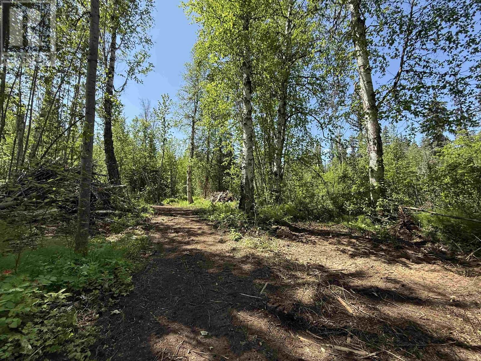 24151 River Road, Smithers, British Columbia  V0J 2N1 - Photo 27 - R3015003