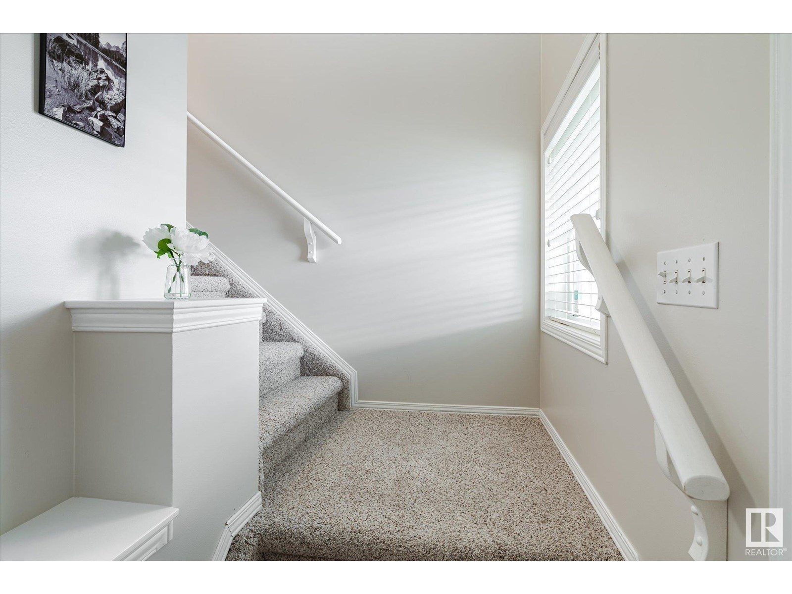 6831 159a Av Nw, Edmonton, Alberta  T5Z 3N9 - Photo 12 - E4442080