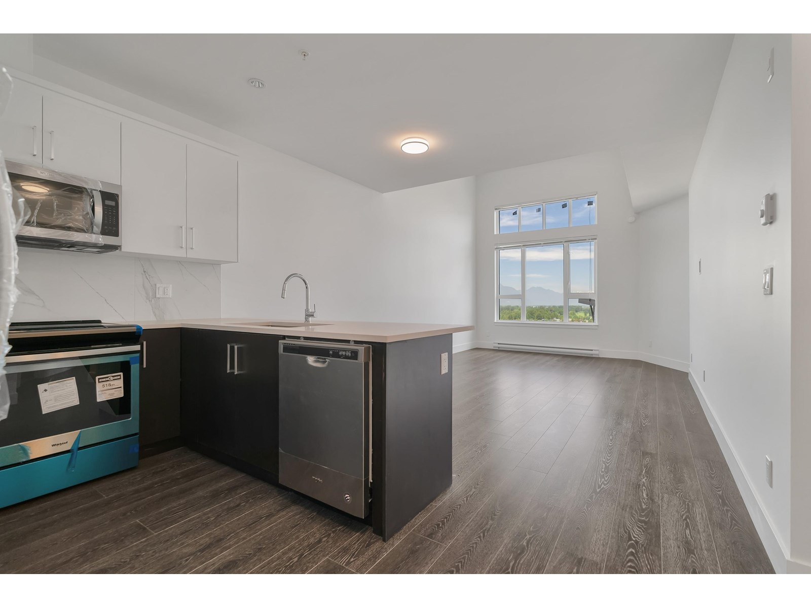 514 9983 E Barnston Drive, Surrey, British Columbia  V4N 6T3 - Photo 2 - R3013147