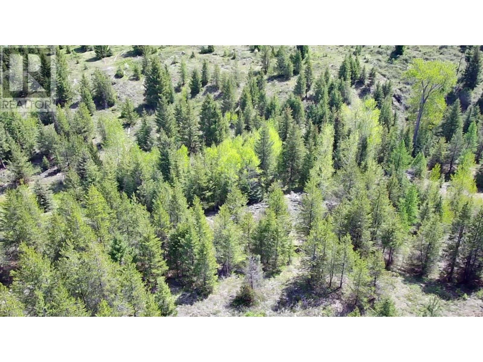 2610 Bubar Creek Road, Rock Creek, British Columbia  V0H 1Y0 - Photo 10 - 10347836