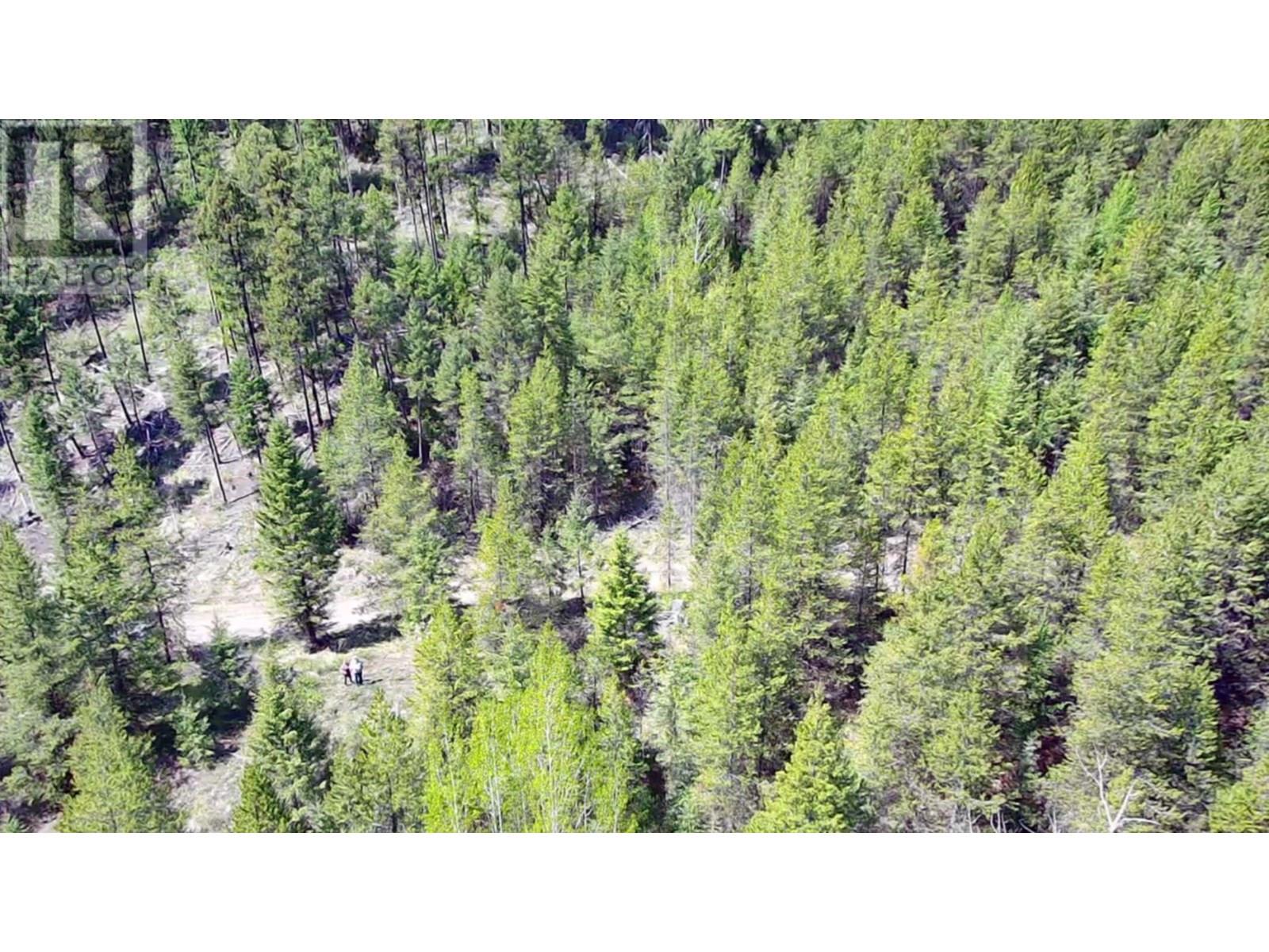 2610 Bubar Creek Road, Rock Creek, British Columbia  V0H 1Y0 - Photo 6 - 10347836