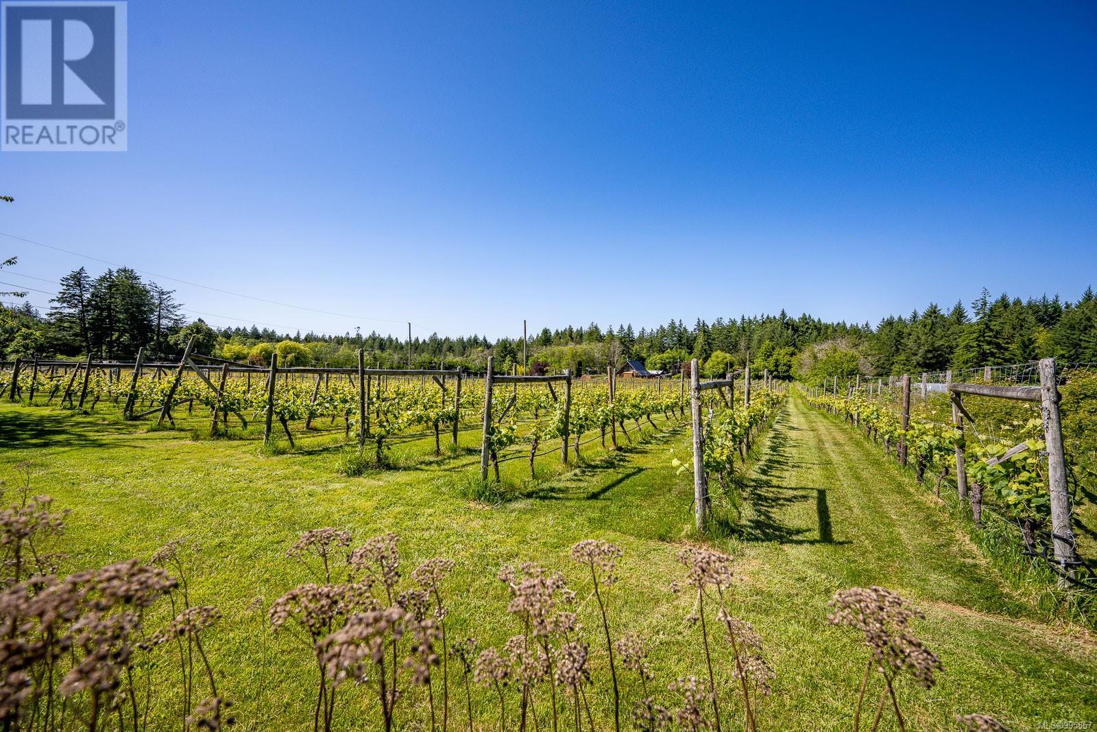 1885 Central Rd, Hornby Island, British Columbia  V0R 1Z0 - Photo 98 - 995857