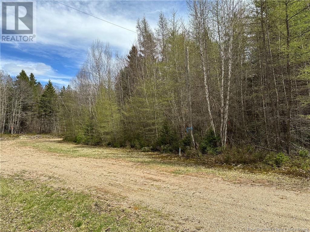 Lot 23-1 Country Shore Lane, Codys, New Brunswick  E4C 1B6 - Photo 8 - NB119146