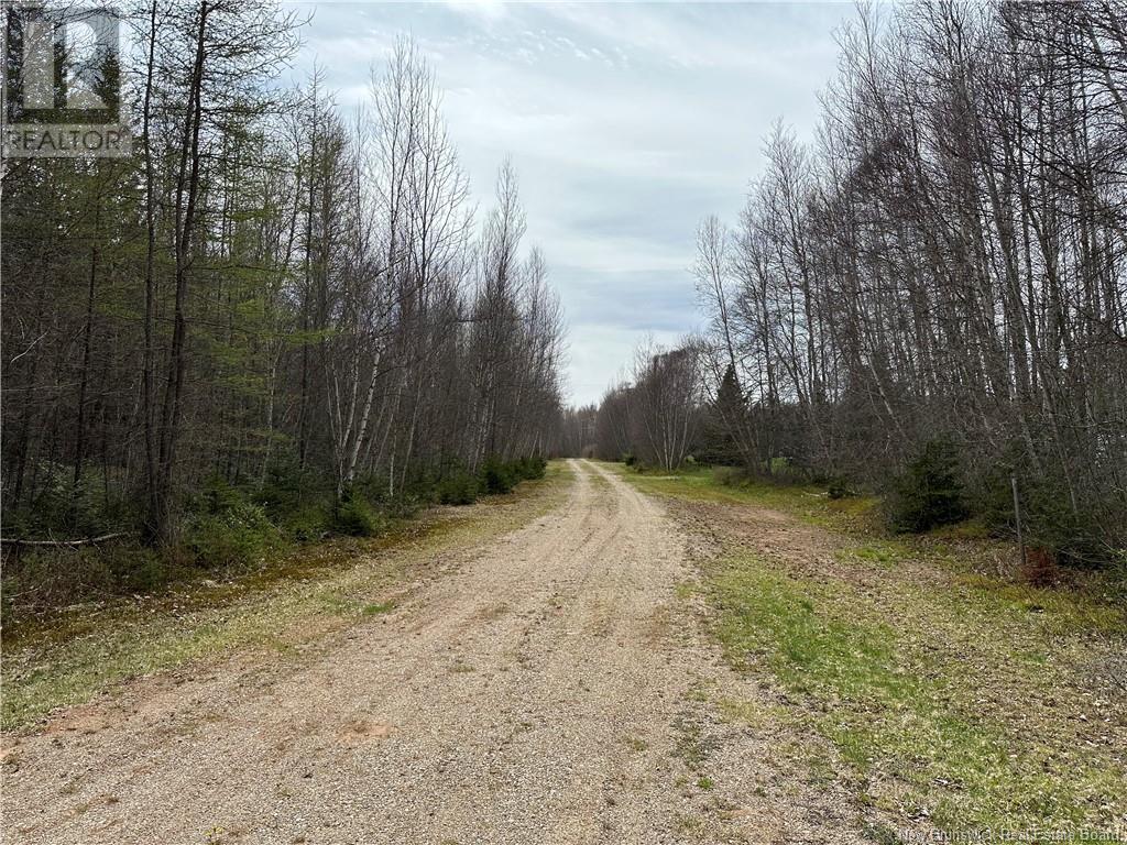 Lot 23-1 Country Shore Lane, Codys, New Brunswick  E4C 1B6 - Photo 12 - NB119146