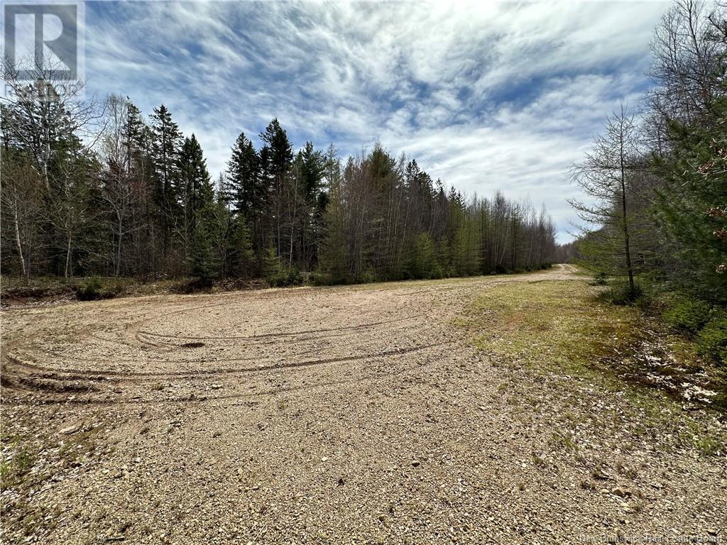 Lot 23-1 Country Shore Lane, Codys, New Brunswick  E4C 1B6 - Photo 9 - NB119146