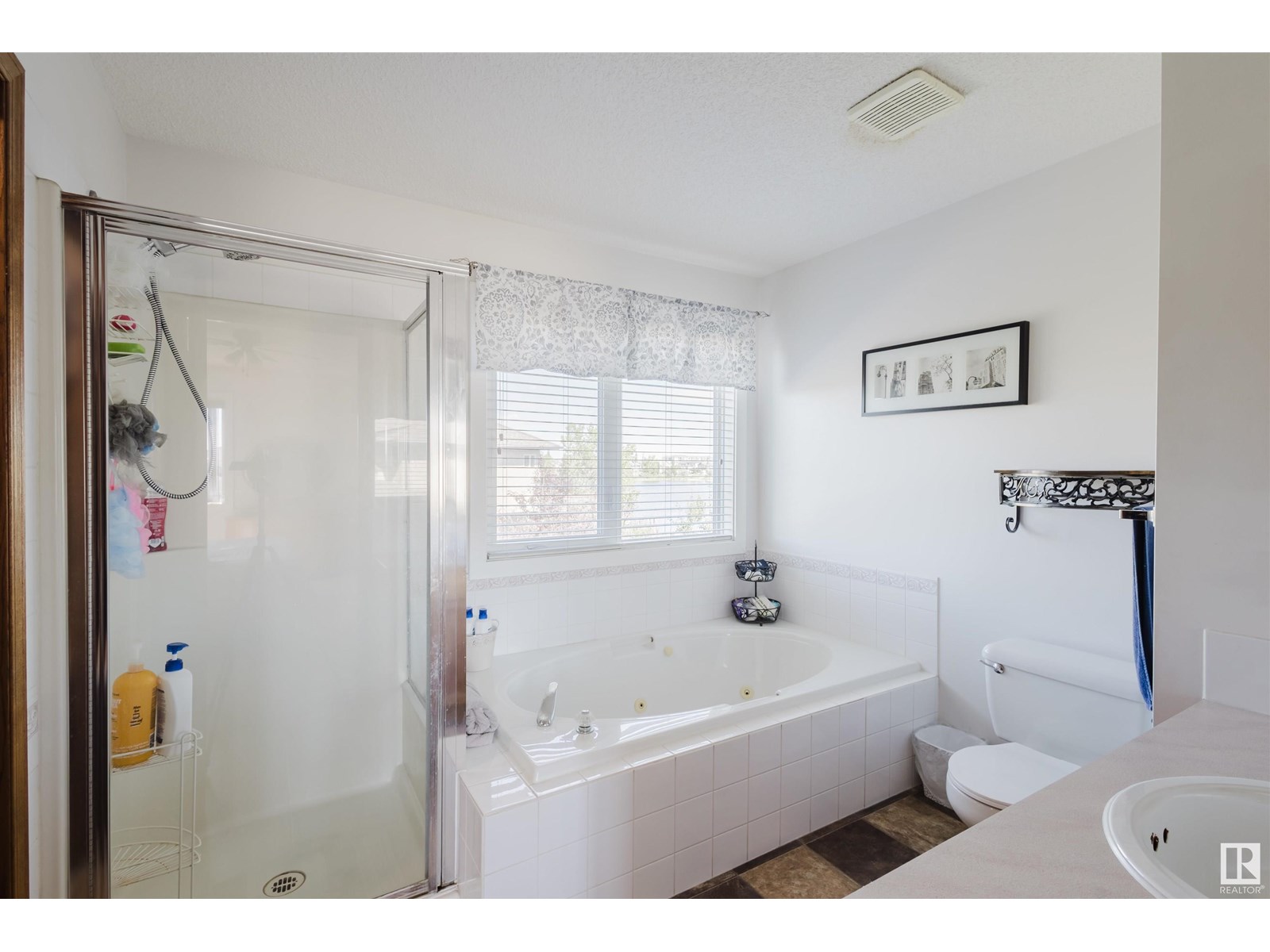 442 Klarvatten Lake Wd Nw, Edmonton, Alberta  T5Z 3B9 - Photo 19 - E4442104