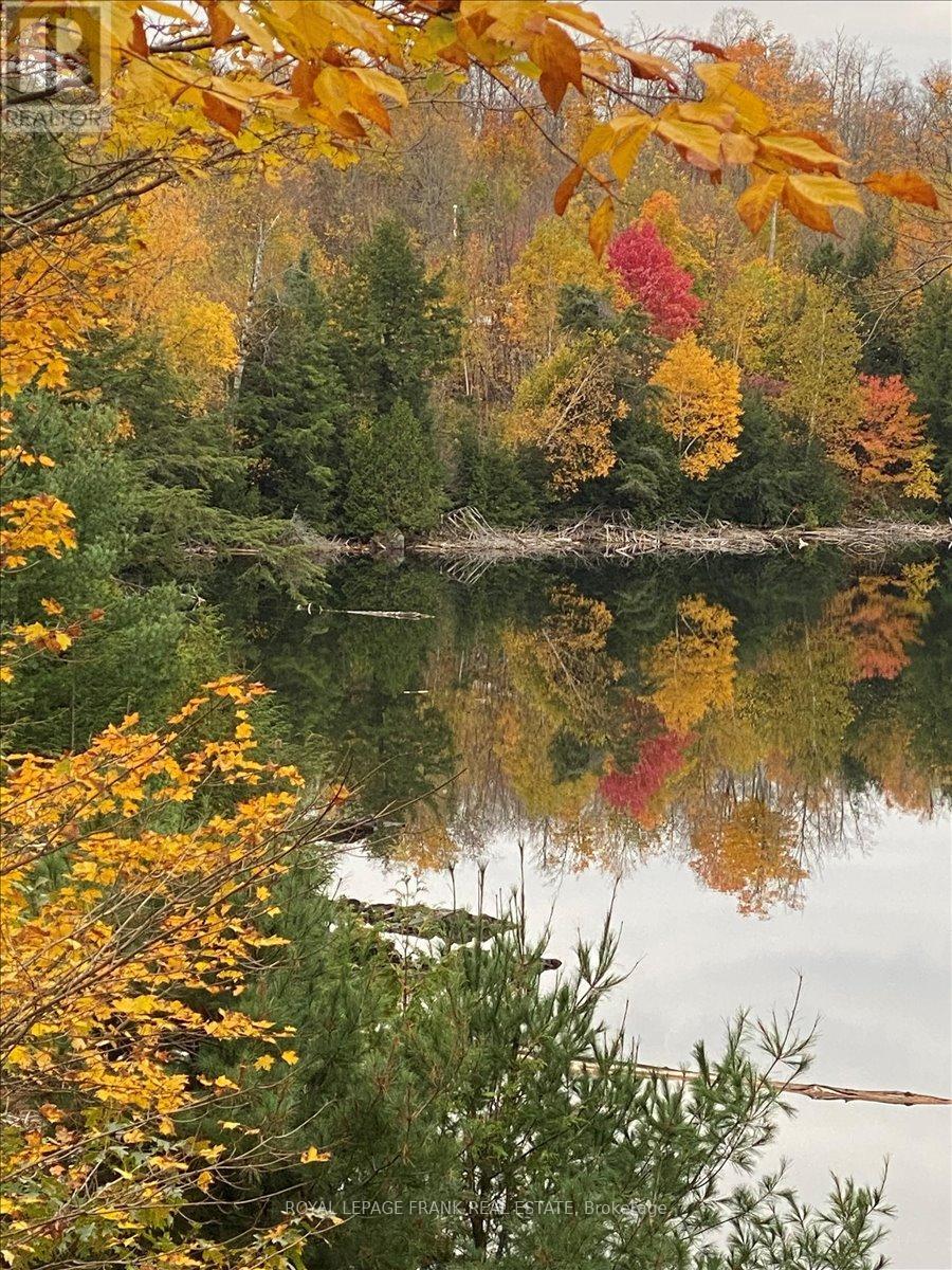 538 Skene Road, Marmora And Lake (Lake Ward), Ontario  K0L 1W0 - Photo 44 - X12217481