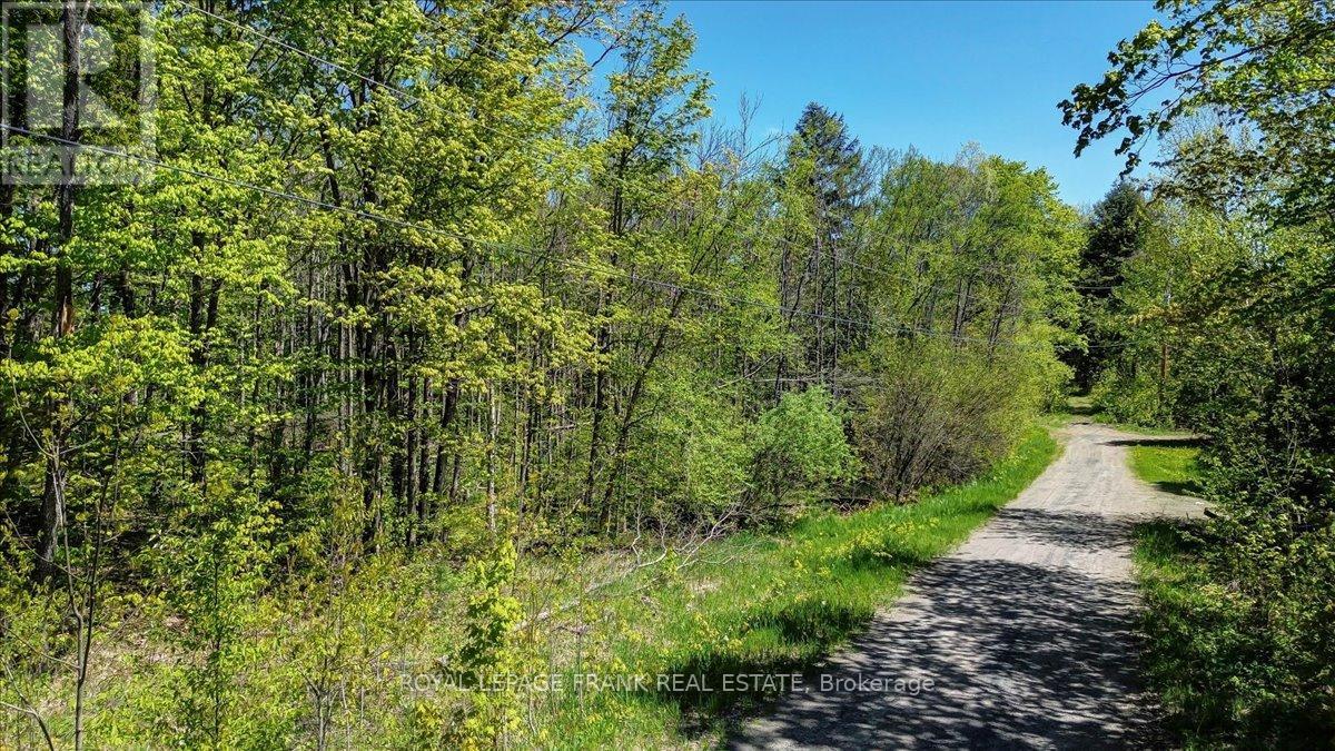 0 Red Oak Trail, Marmora And Lake, Ontario  K0L 1W0 - Photo 16 - X12151864