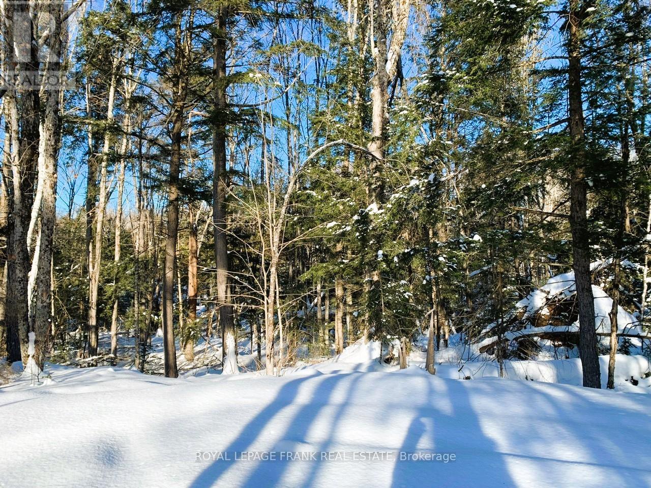 0 Red Oak Trail, Marmora And Lake, Ontario  K0L 1W0 - Photo 20 - X12151864
