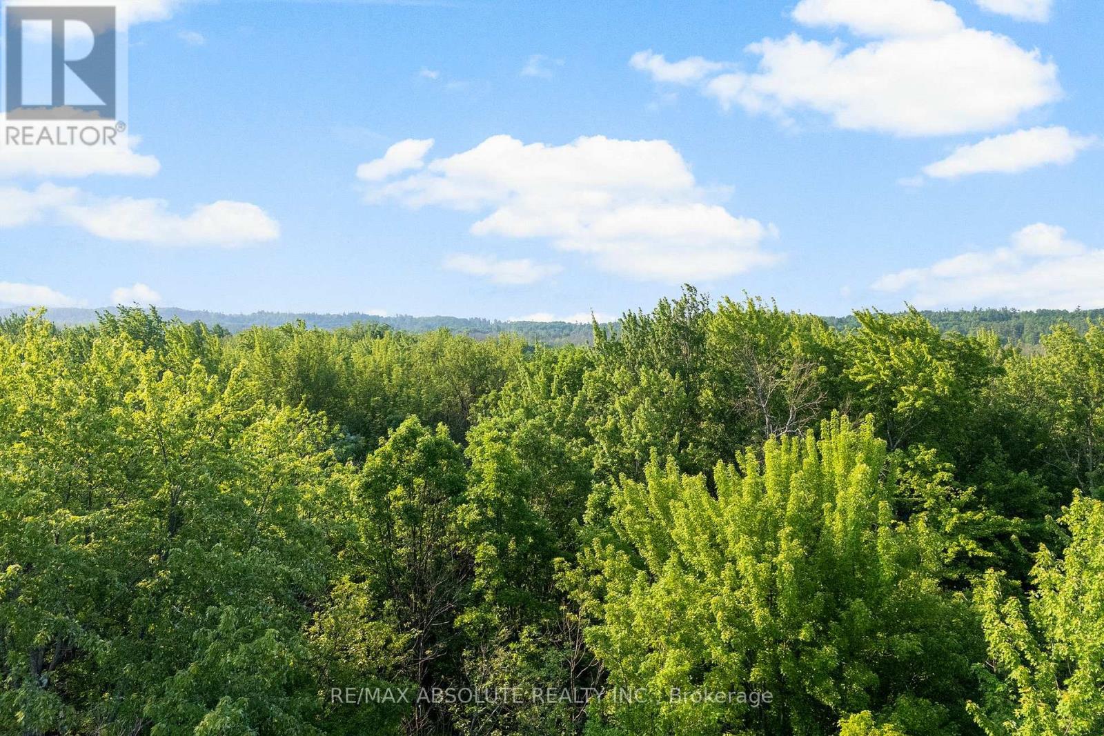 339 Leavoy Lane, Horton, Ontario  K7V 3Z8 - Photo 39 - X12217510