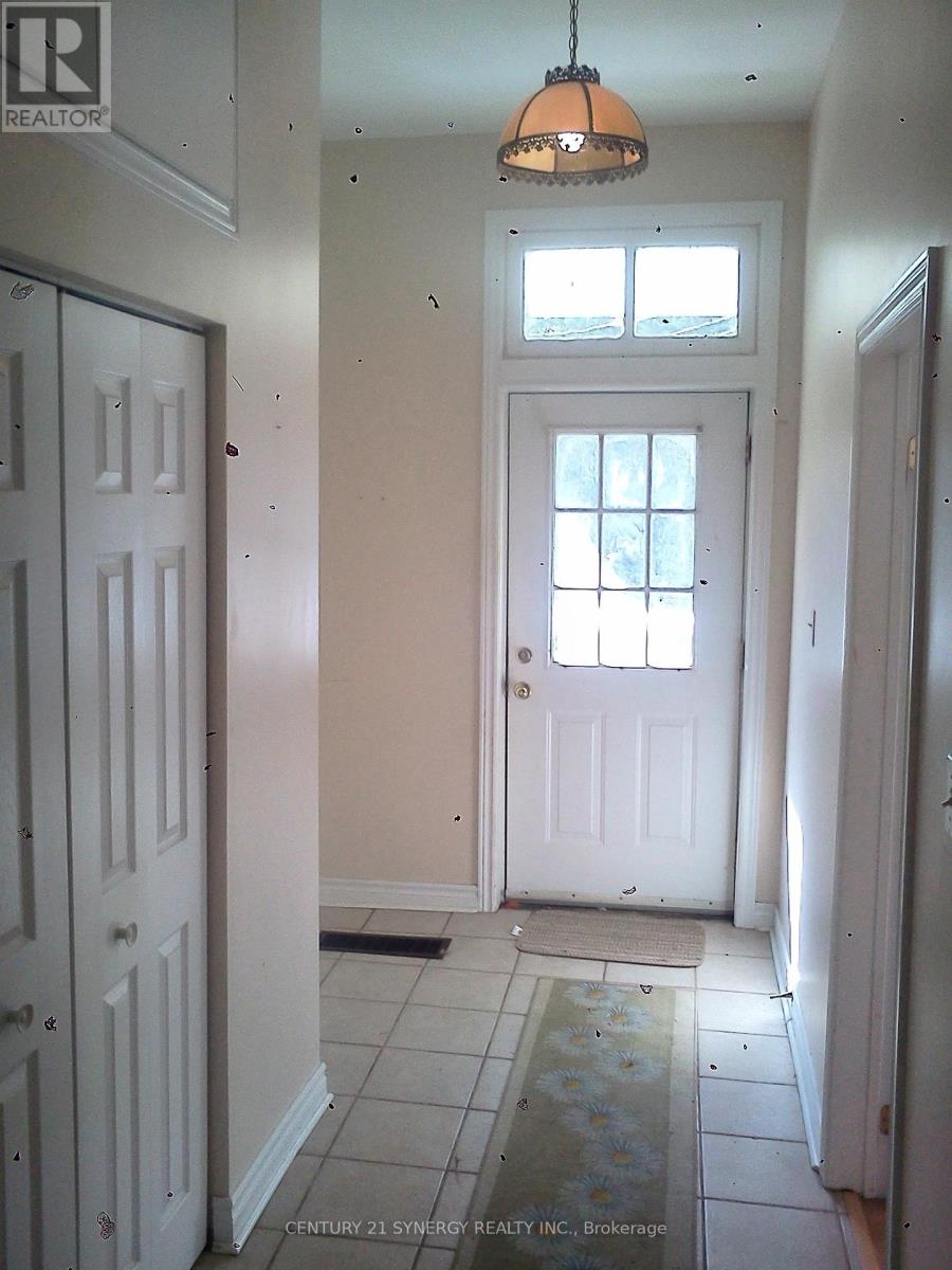 189-191-193 Moffatt Street, Carleton Place, Ontario  K7C 3K9 - Photo 29 - X12217541