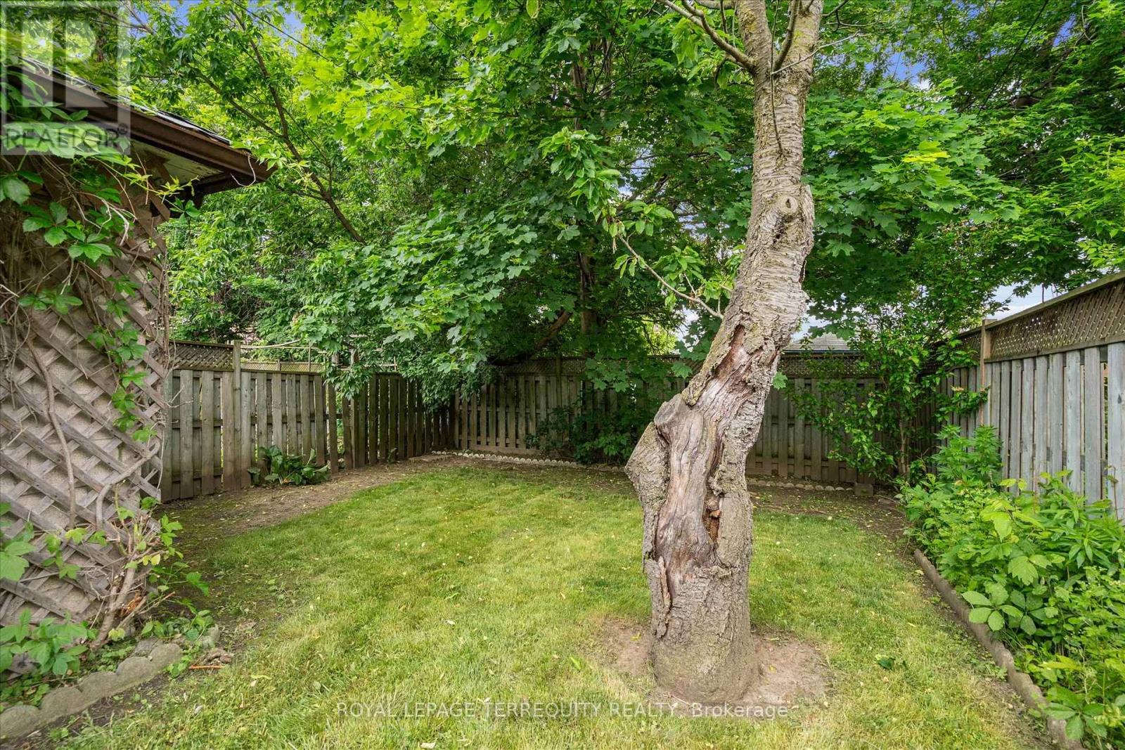 384 Winnett Avenue, Toronto (Oakwood Village), Ontario  M6C 3M1 - Photo 44 - C12217518