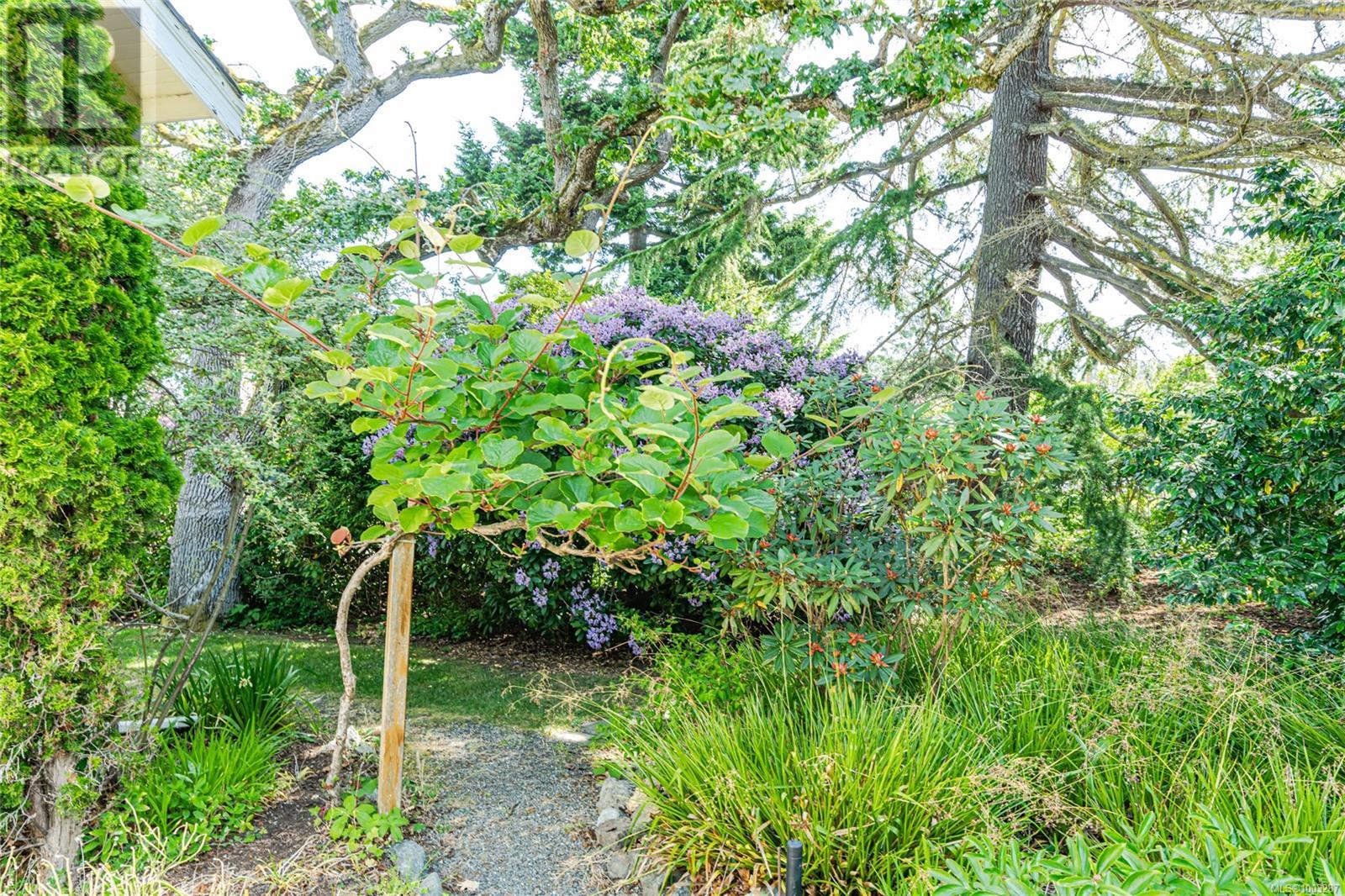 1040 St. Louis St, Oak Bay, British Columbia  V8S 5B6 - Photo 6 - 1003287