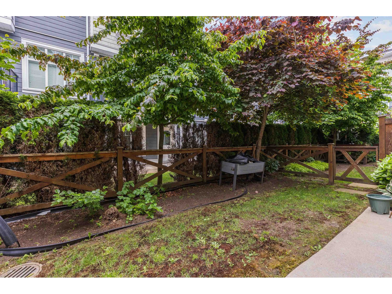 20 2239 164a Street, Surrey, British Columbia  V3Z 0V1 - Photo 33 - R3015064