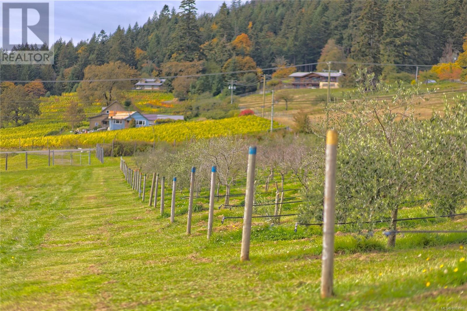 1901/1929 Fulford-Ganges Rd, Salt Spring, British Columbia  V8K 2A6 - Photo 7 - 1003118