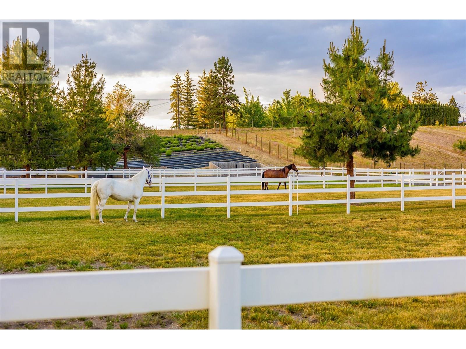 2375 Grantham Road, Kelowna, British Columbia  V1W 4B7 - Photo 76 - 10351613