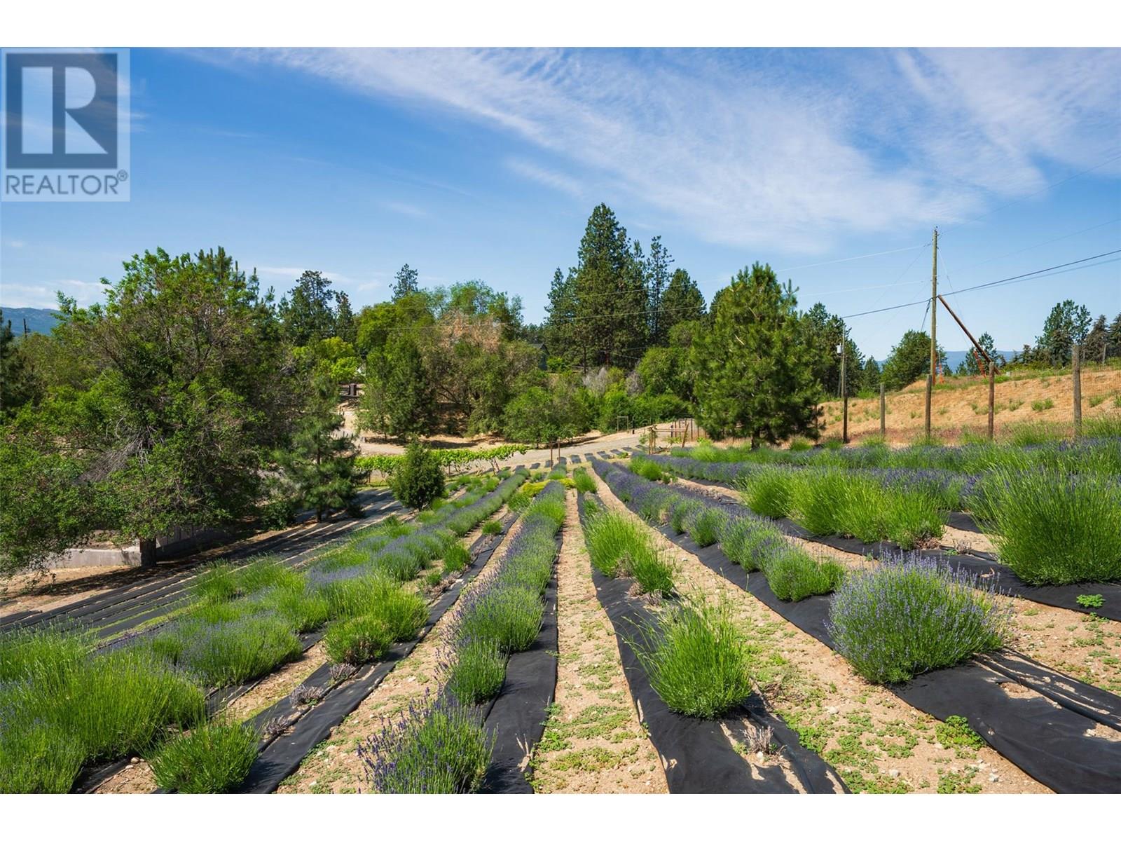 2375 Grantham Road, Kelowna, British Columbia  V1W 4B7 - Photo 85 - 10351613