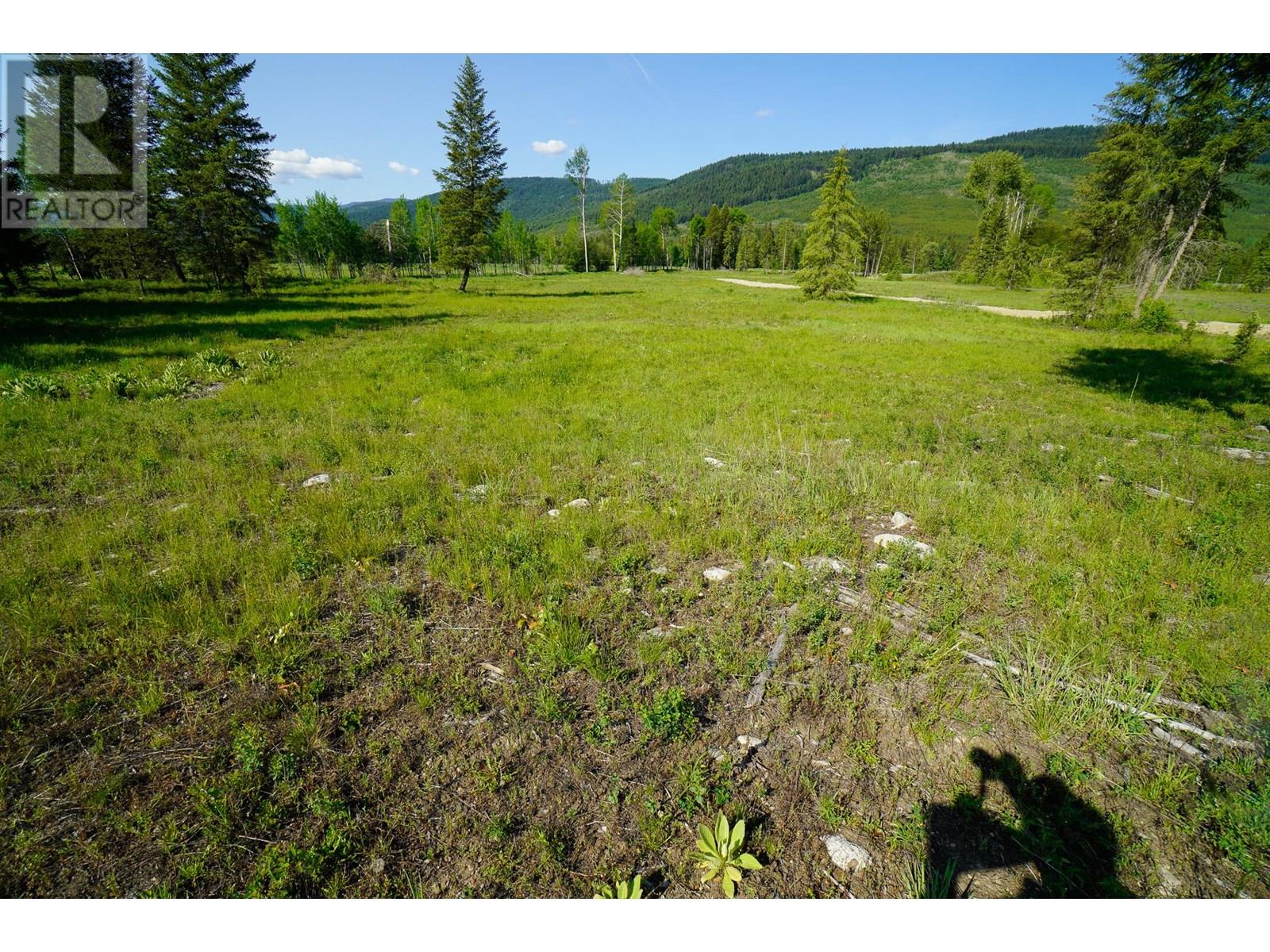 Lot 3 Mary G Road, Beaverdell, British Columbia