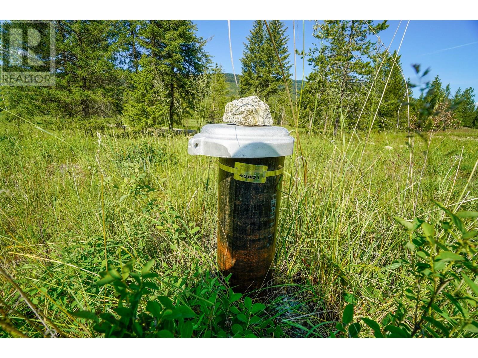 Lot 3 Mary G Road, Beaverdell, British Columbia  V0H 1A0 - Photo 7 - 10351770