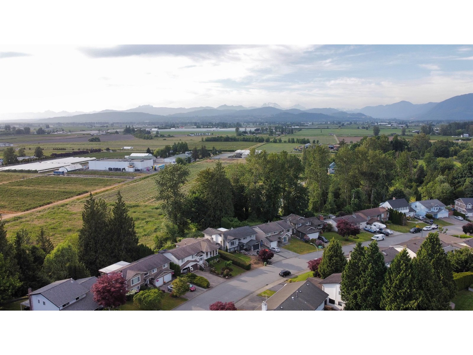 3698 Robson Drive, Abbotsford, British Columbia  V2S 6G8 - Photo 6 - R3014957