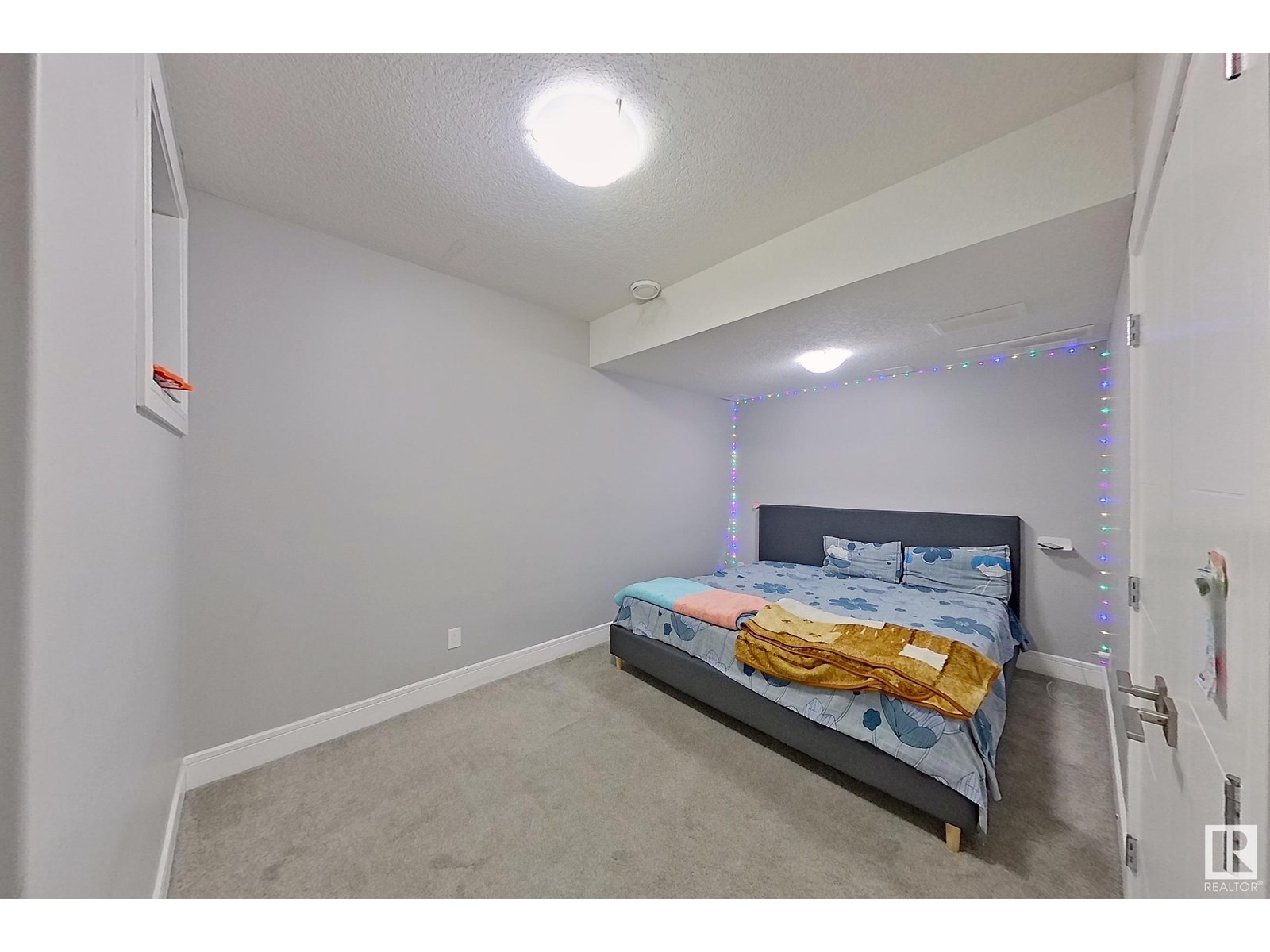 2927 11 Av Nw, Edmonton, Alberta  T6T 2H1 - Photo 21 - E4442115