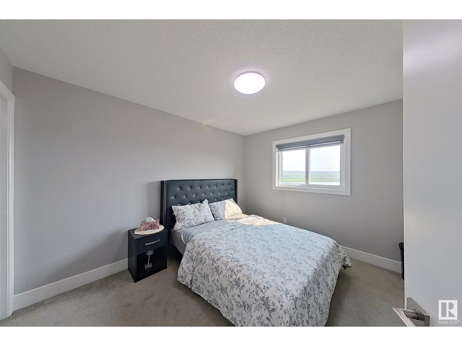 2927 11 Av Nw, Edmonton, Alberta  T6T 2H1 - Photo 29 - E4442115