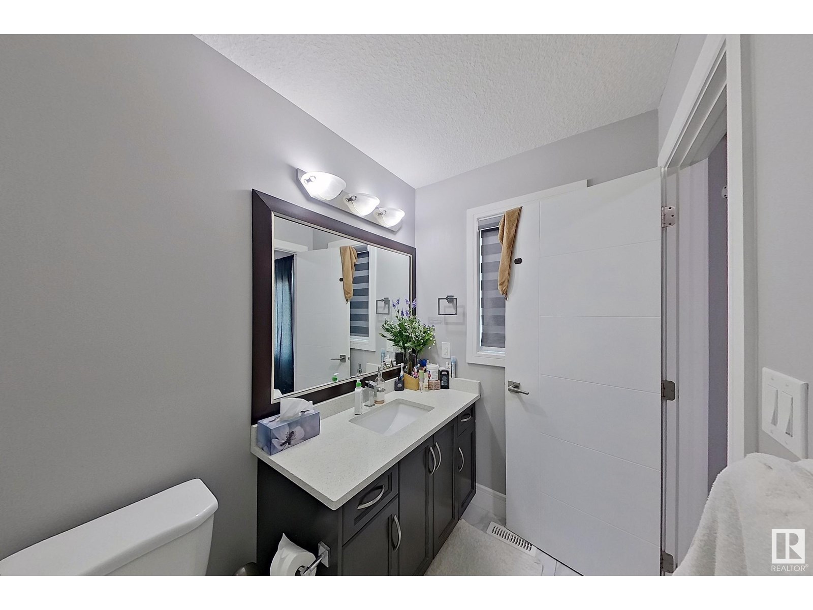 2927 11 Av Nw, Edmonton, Alberta  T6T 2H1 - Photo 48 - E4442115